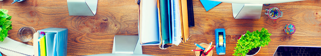 Independent Study and Mentorship