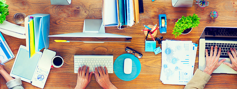 Independent Study and Mentorship