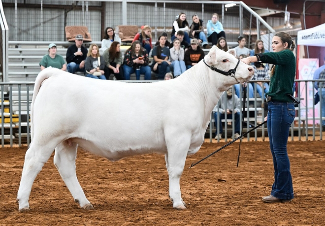 FFA Students Earn Blue Ribbons at Collin County Competition
