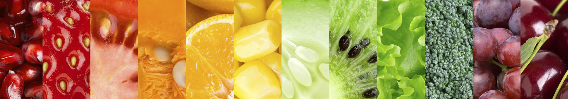 Child Nutrition